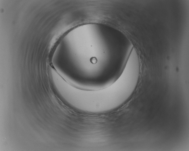 X0000051920244200507082102