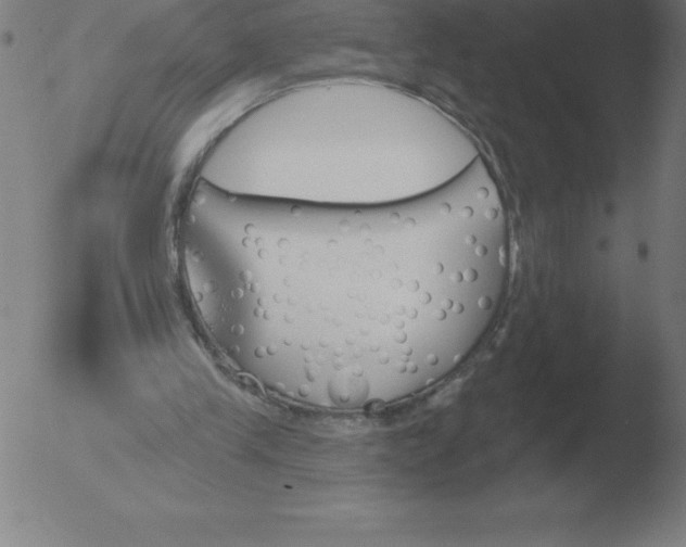 X0000051920245200507082102