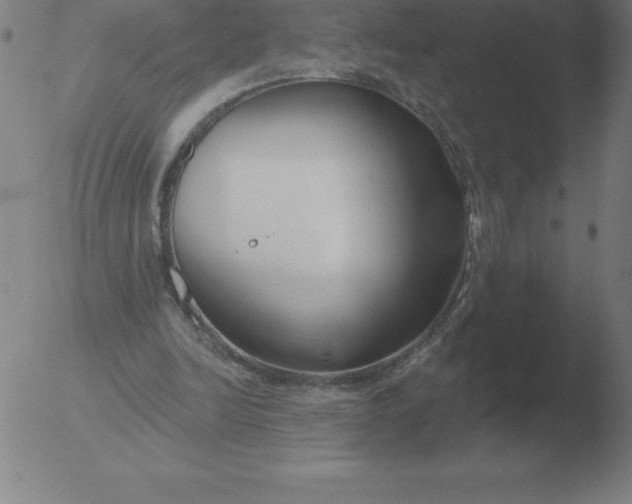 X0000051920246200507082102