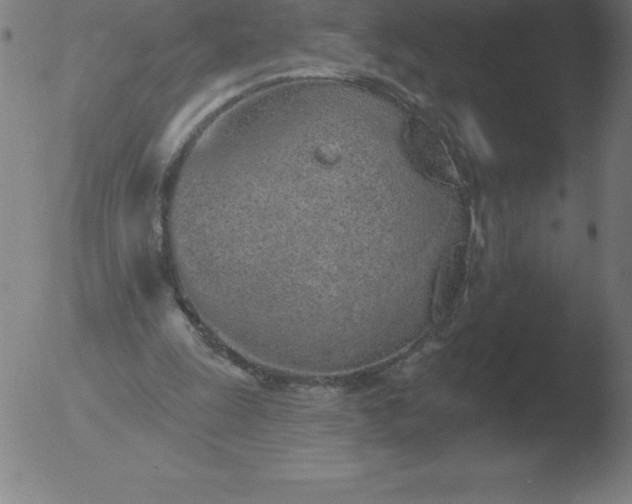 X0000051920247200507082102