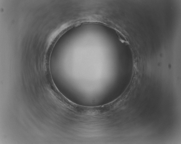 X0000051920248200507082102