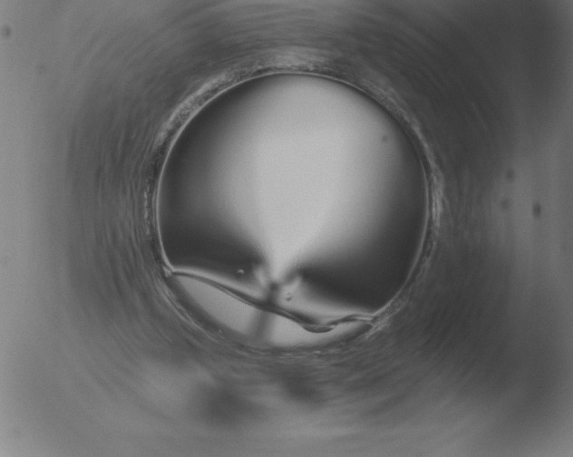 X0000051920249200507082102