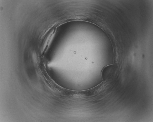 X0000051920251200507082102