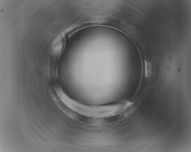 X0000051920252200507082102