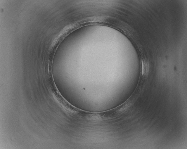 X0000051920253200507082102