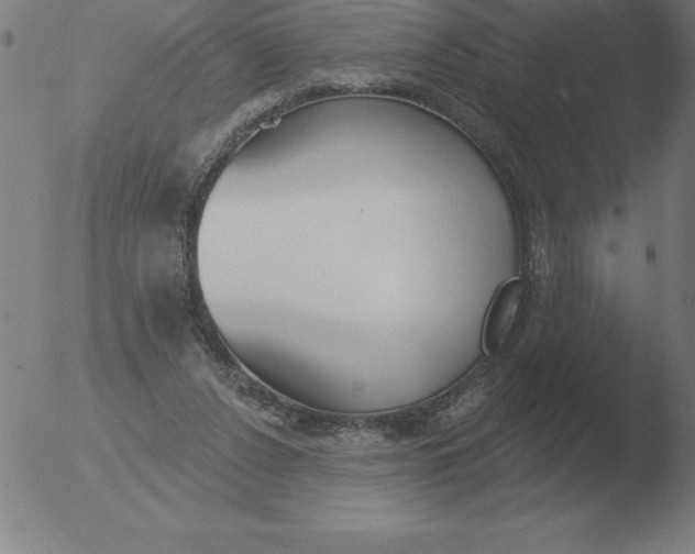 X0000051920256200507082102