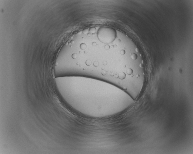 X0000051920257200507082102