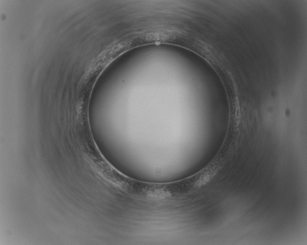 X0000051920258200507082102