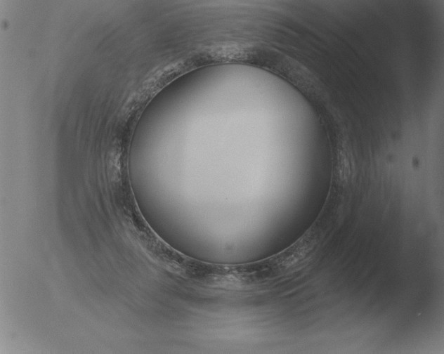 X0000051920259200507082102