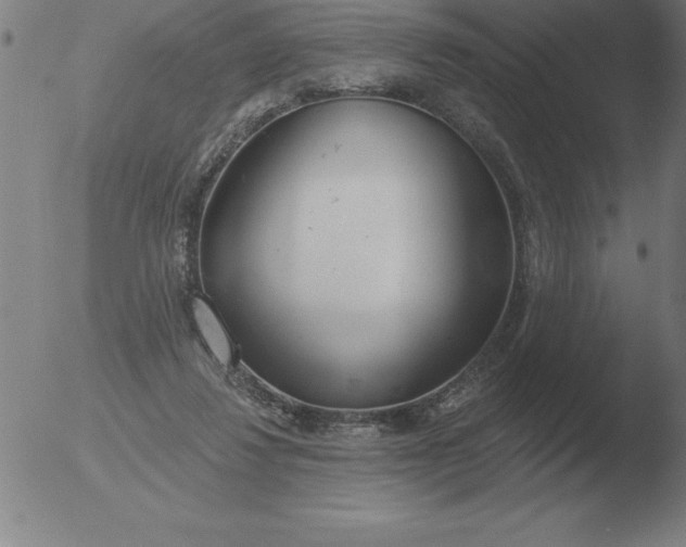 X0000051920260200507082102