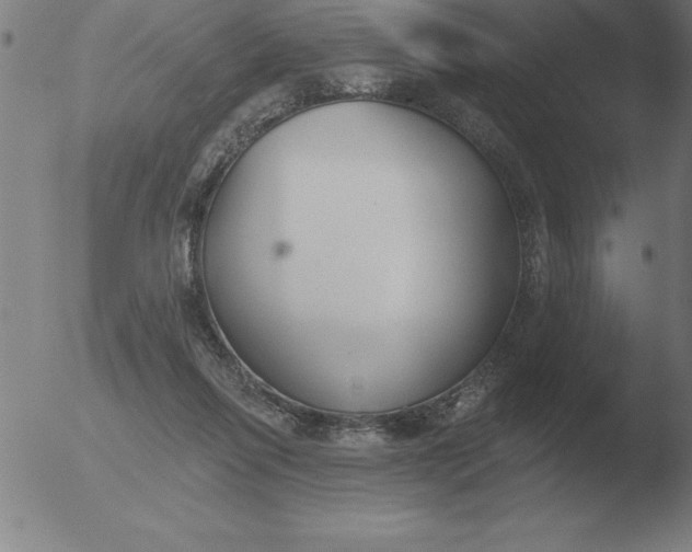 X0000051920262200507082102