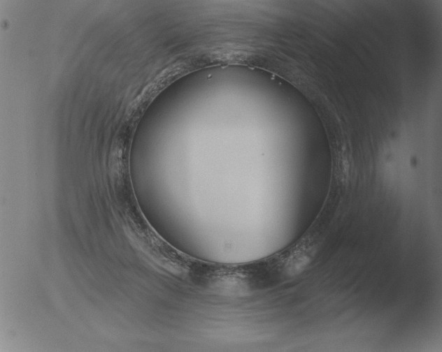 X0000051920263200507082102