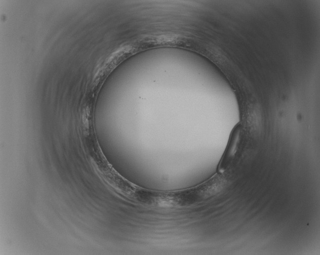 X0000051920264200507082102