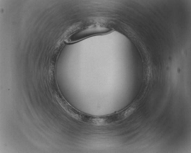 X0000051920265200507082102