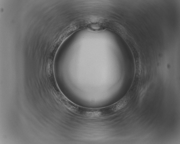 X0000051920266200507082102