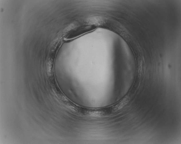 X0000051920268200507082102