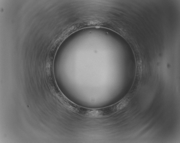 X0000051920269200507082102