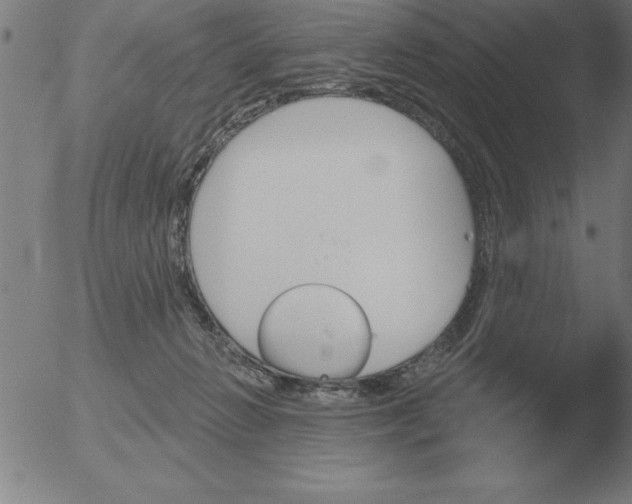 X0000051920270200507082102