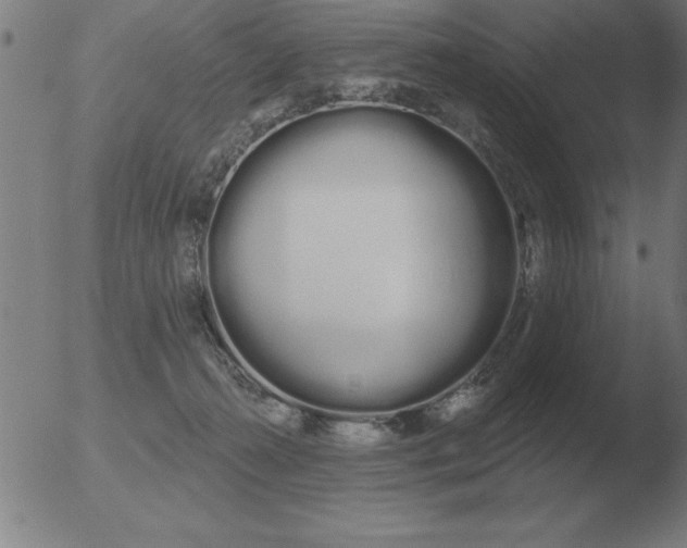 X0000051920272200507082102