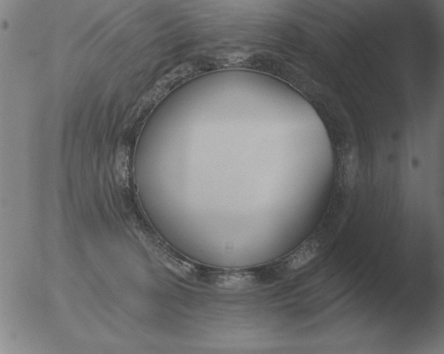 X0000051920274200507082102