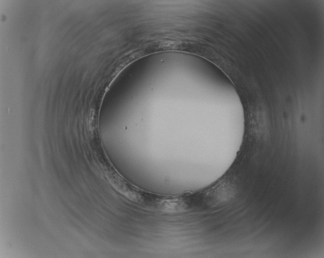 X0000051920275200507082102