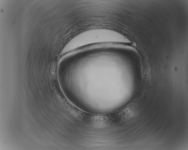 X0000051920277200507082103