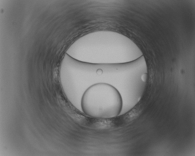 X0000051920278200507082103