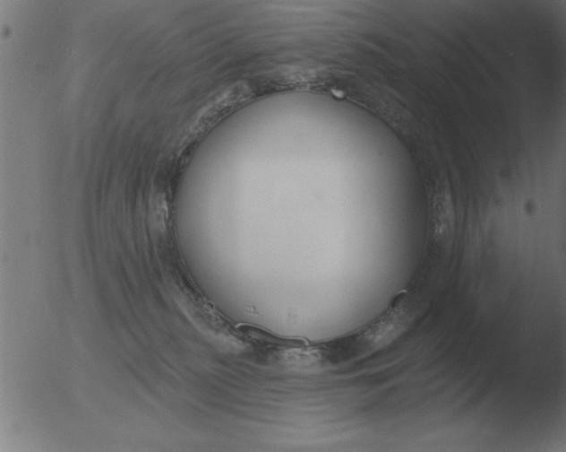 X0000051920279200507082103