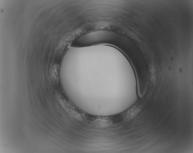 X0000051920280200507082103