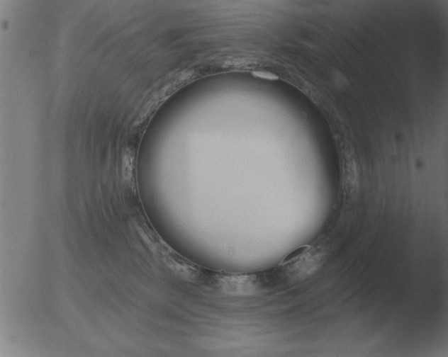 X0000051920281200507082103