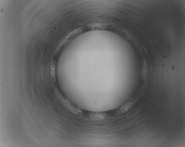 X0000051920282200507082103