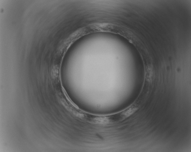 X0000051920284200507082103