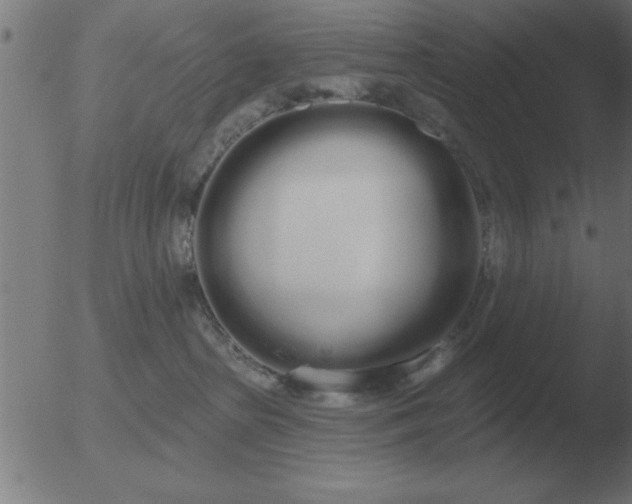 X0000051920285200507082103