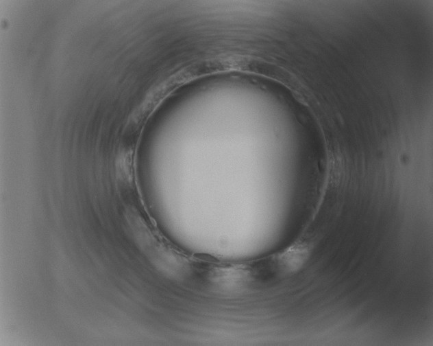 X0000051920286200507082103