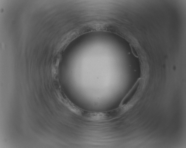 X0000051920288200507082103