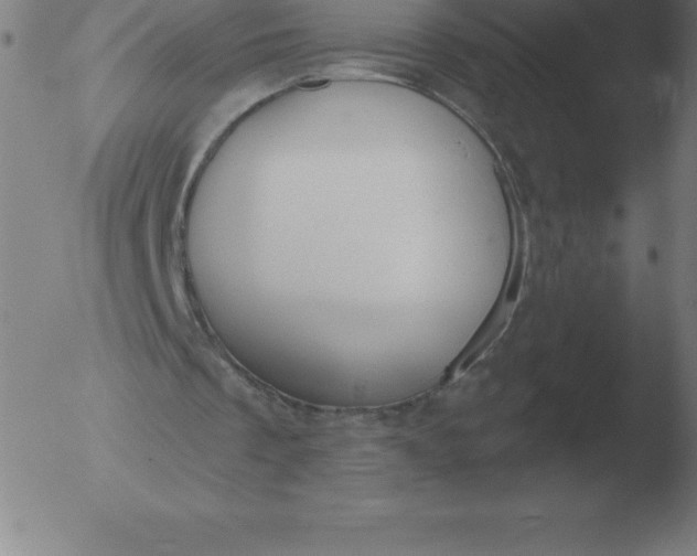 X0000051920289200507082102