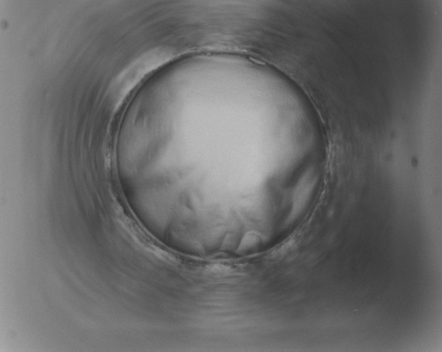 X0000051920290200507082102