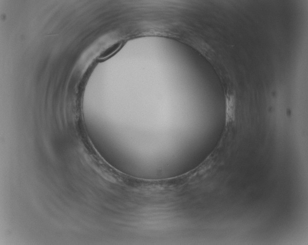 X0000051920291200507082102