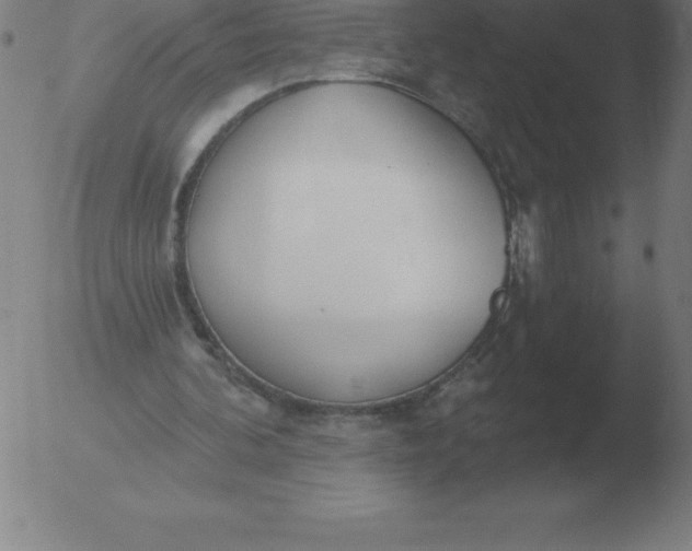 X0000051920292200507082102