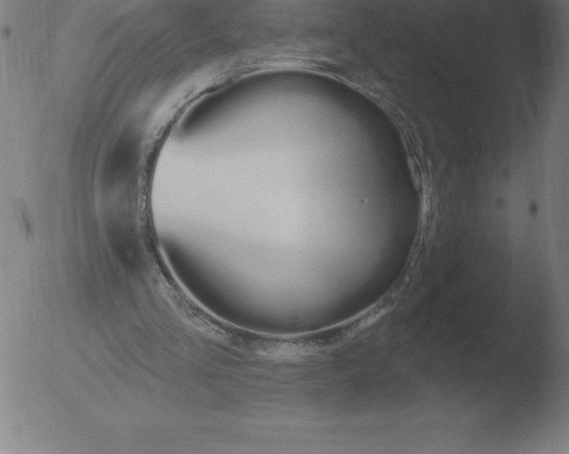 X0000051920293200507082102