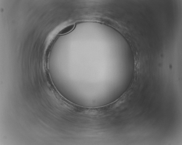 X0000051920294200507082102