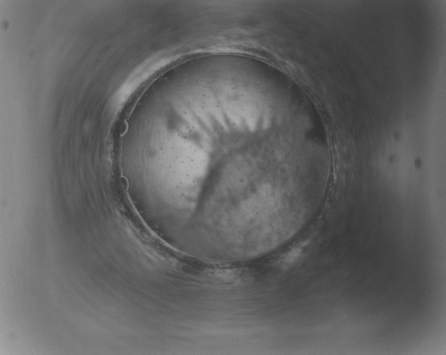 X0000051920295200507082102