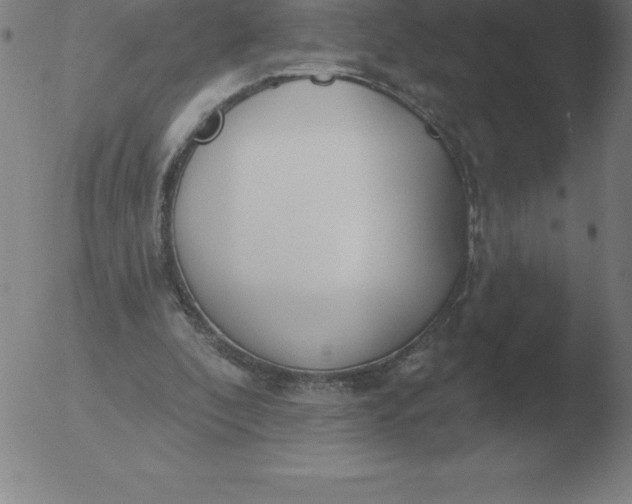 X0000051920296200507082102