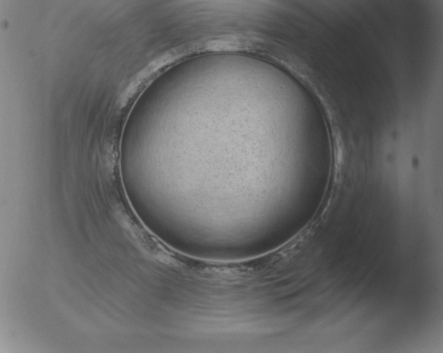 X0000051920297200507082102