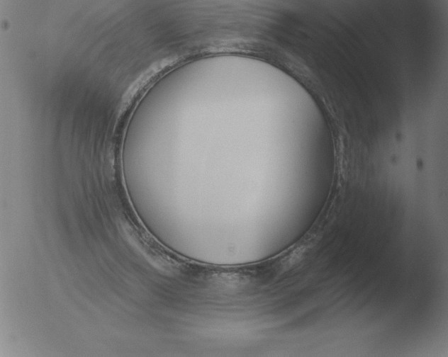 X0000051920298200507082102