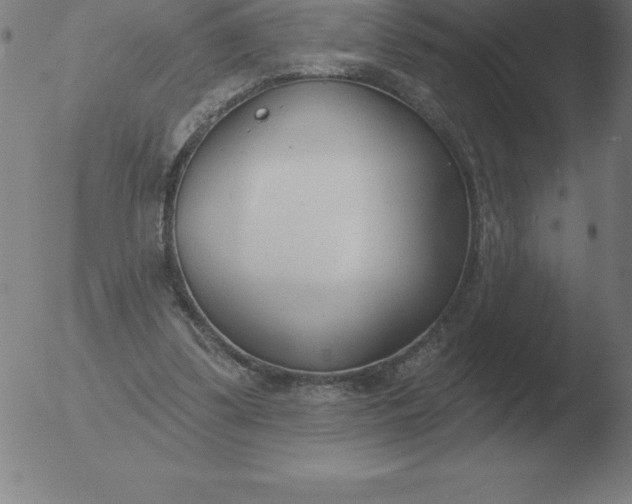 X0000051920299200507082102