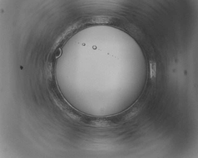 X0000051920300200507082102