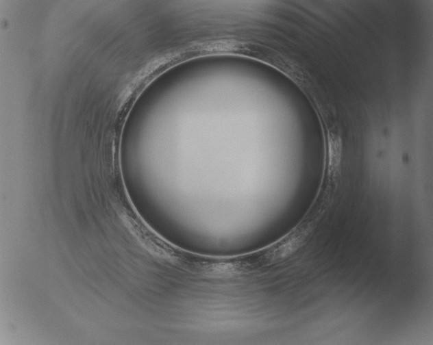 X0000051920301200507082102