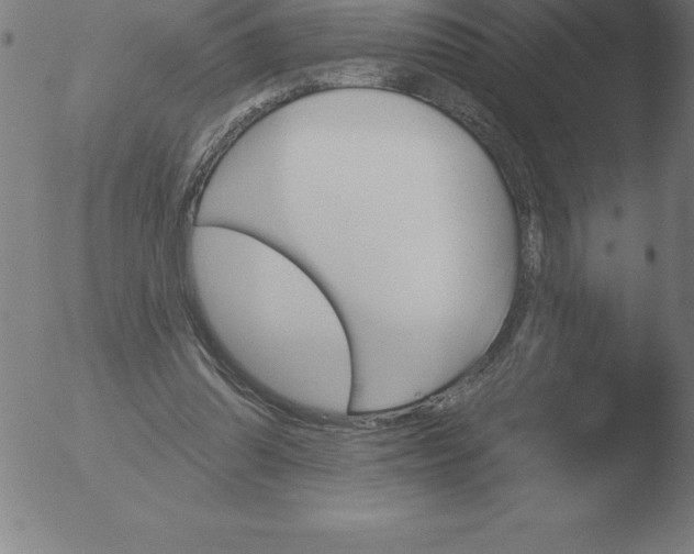 X0000051920302200507082102