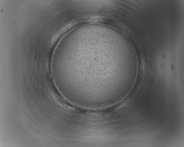 X0000051920303200507082102